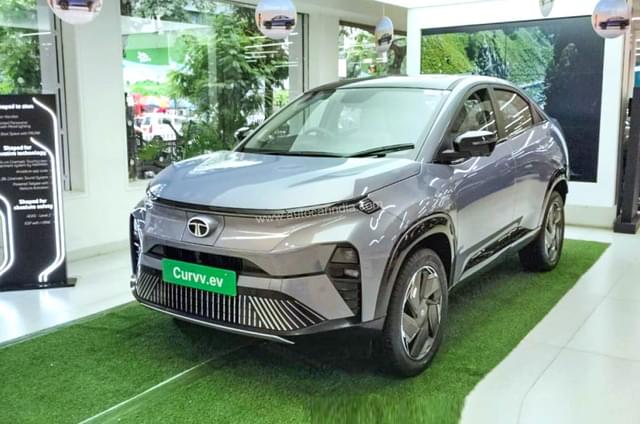Tata EV sales remain flat across 2024